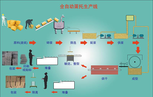 蛋托生產(chǎn)線需要多少錢？